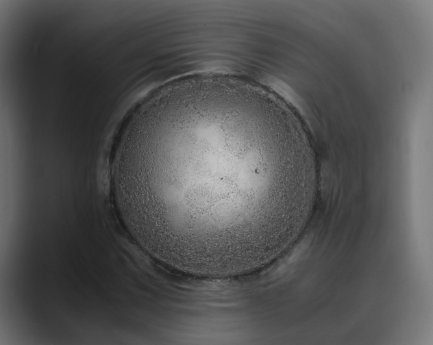 X0000089951067200706291207