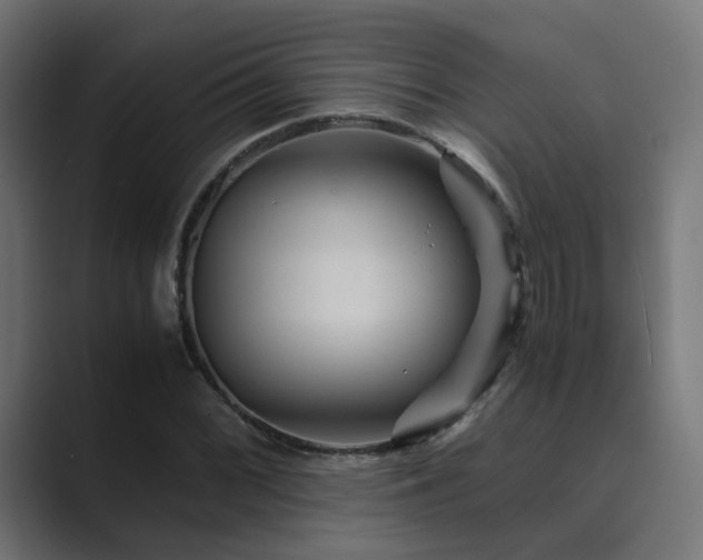 X0000089951068200706291207