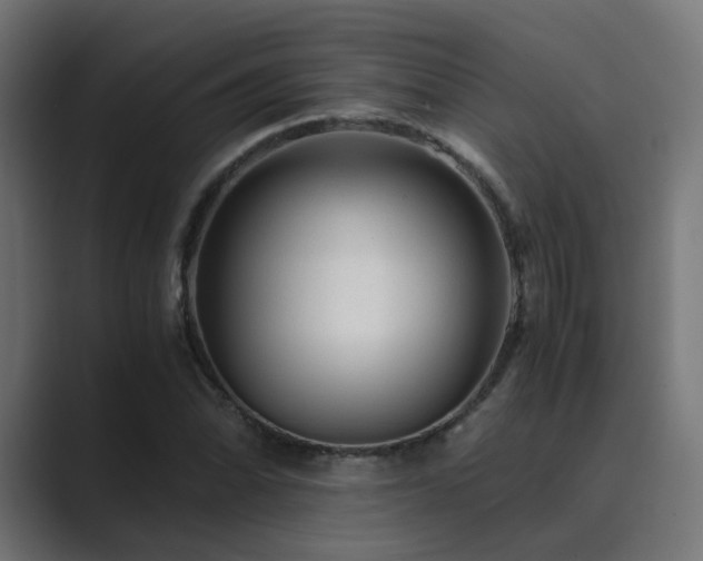 X0000089951070200706291207