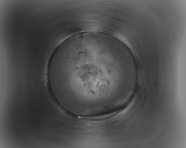 X0000089951071200706291207