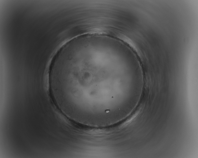 X0000089951075200706291207