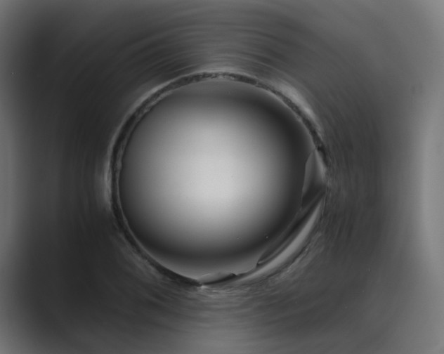 X0000089951076200706291207
