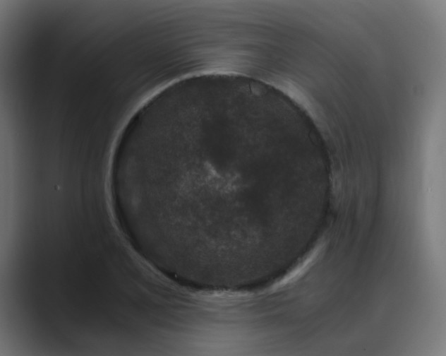 X0000089951077200706291207