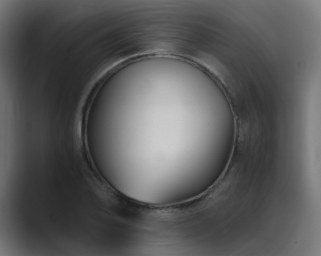 X0000089951078200706291207