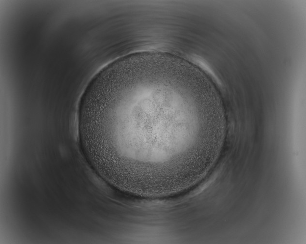 X0000089951079200706291207