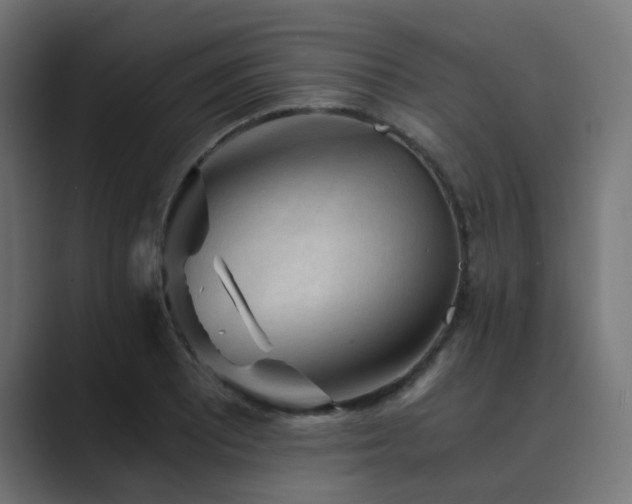 X0000089951081200706291207