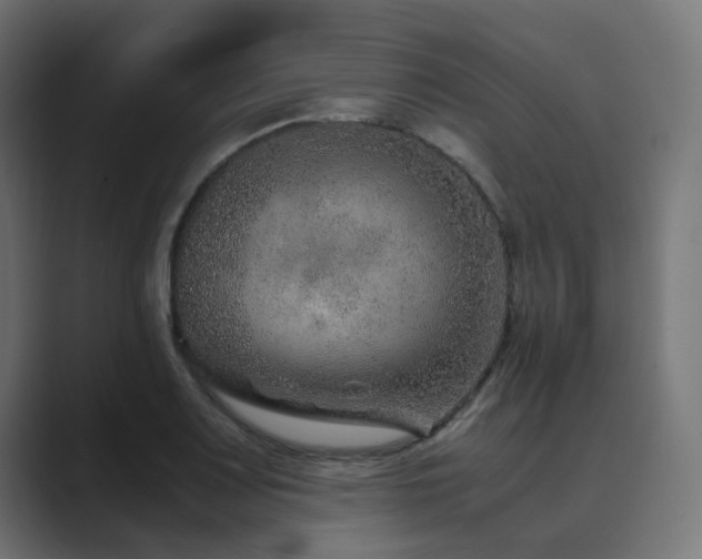 X0000089951083200706291207