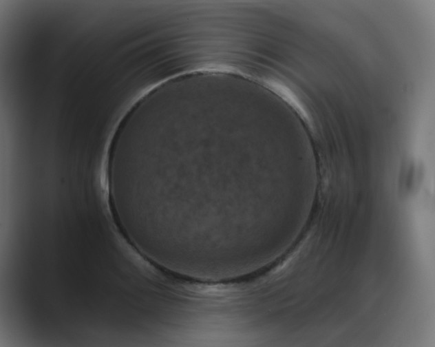 X0000089951084200706291207
