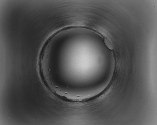X0000089951085200706291207