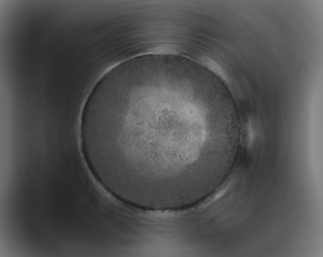 X0000089951087200706291207