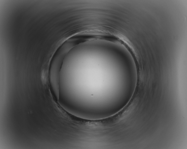 X0000089951089200706291207