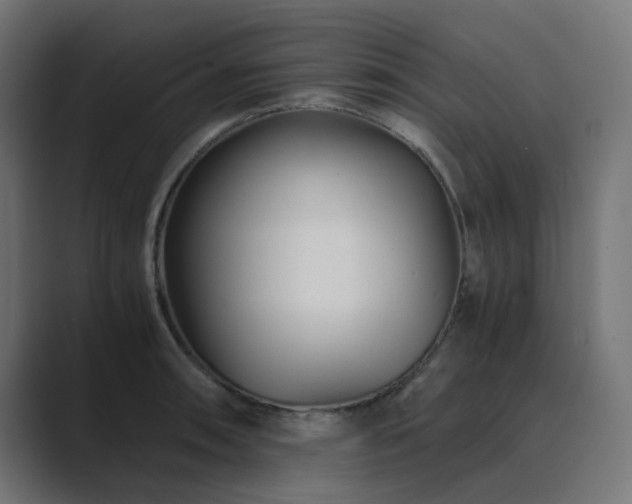 X0000089951090200706291207