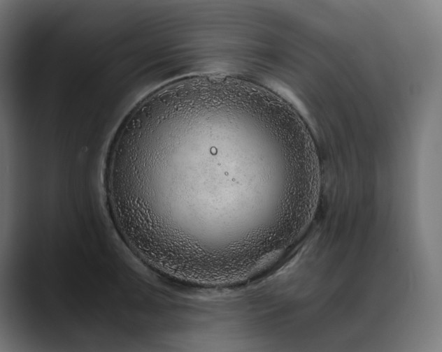 X0000089951091200706291207
