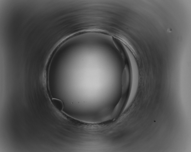 X0000089951092200706291207