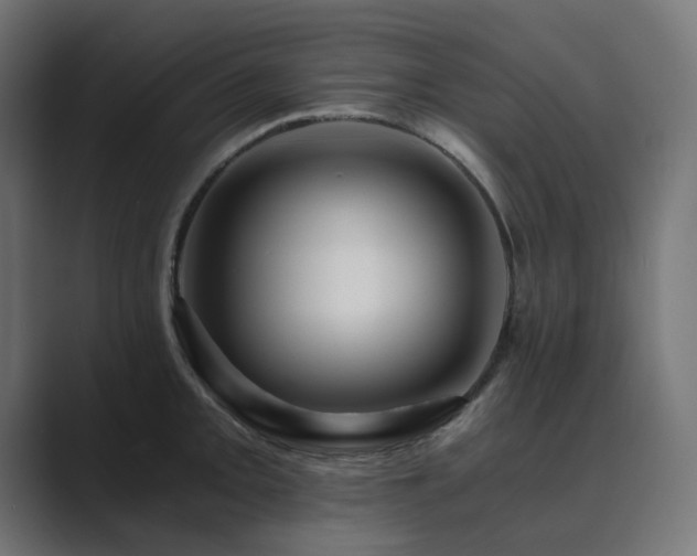 X0000089951093200706291207