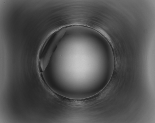 X0000089951096200706291207