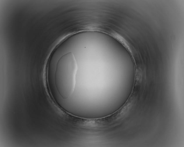 X0000089951098200706291207