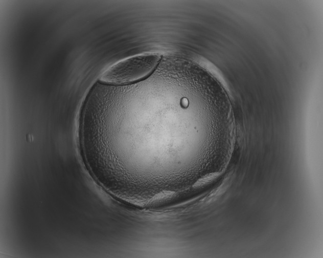 X0000089951099200706291207