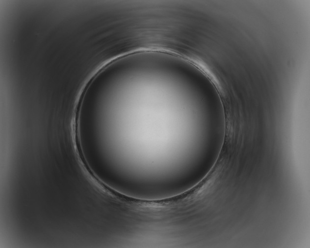X0000089951100200706291207