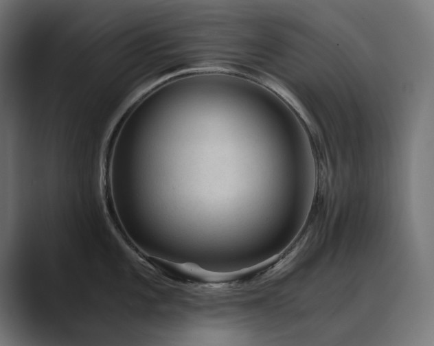 X0000089951101200706291207
