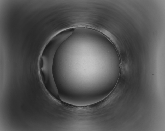 X0000089951102200706291207
