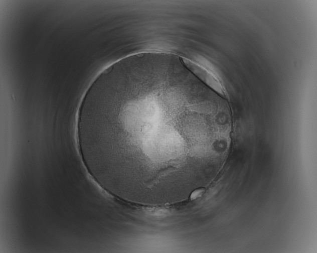 X0000089951103200706291207