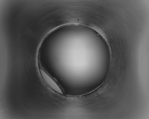 X0000089951104200706291207