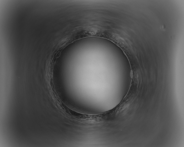 X0000089951105200706291206