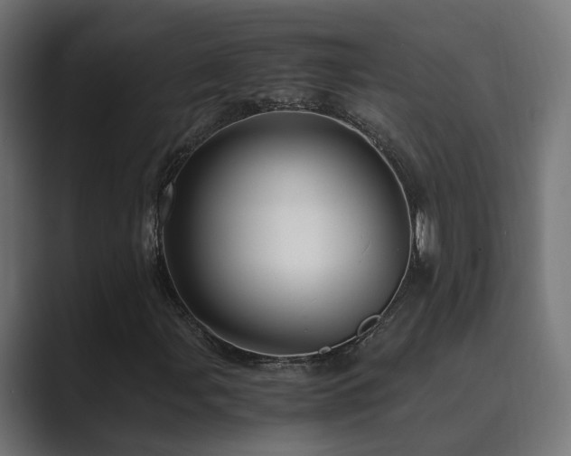 X0000089951107200706291206