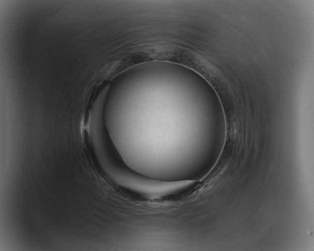 X0000089951108200706291206