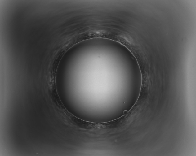 X0000089951109200706291206
