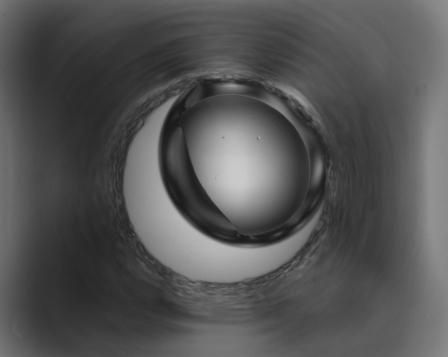 X0000089951112200706291206