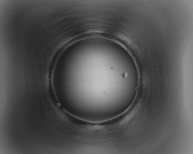 X0000089951113200706291206