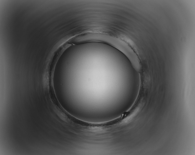 X0000089951114200706291207
