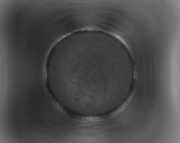 X0000089951117200706291207
