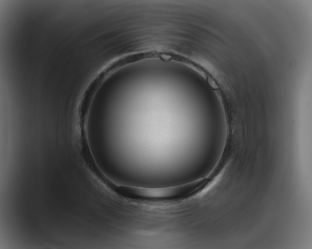 X0000089951118200706291207
