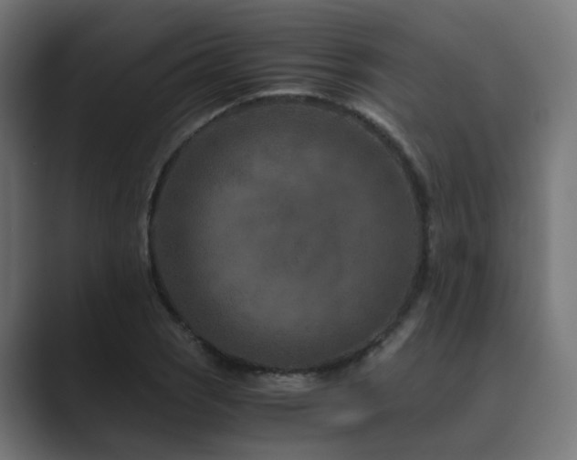 X0000089951121200706291207