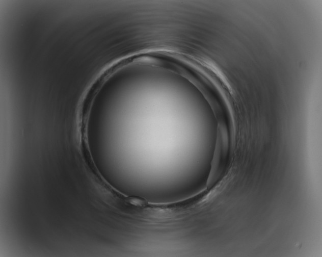 X0000089951124200706291207