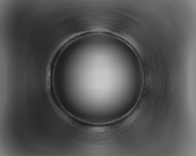 X0000089951126200706291207