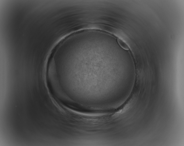 X0000089951127200706291207