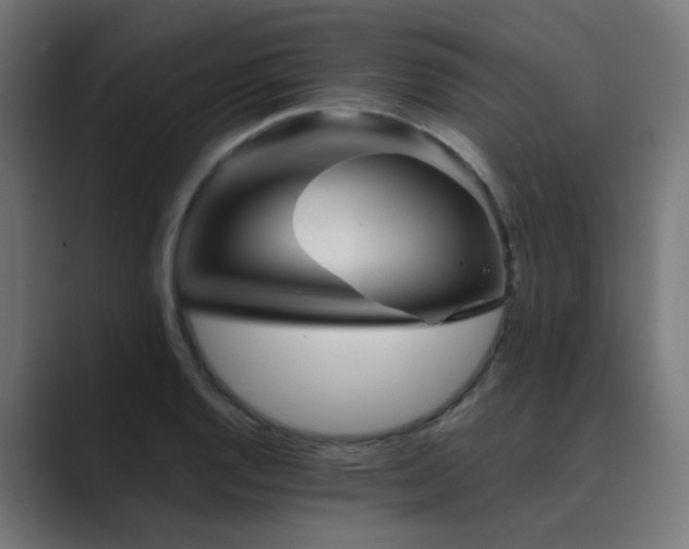 X0000089951128200706291207