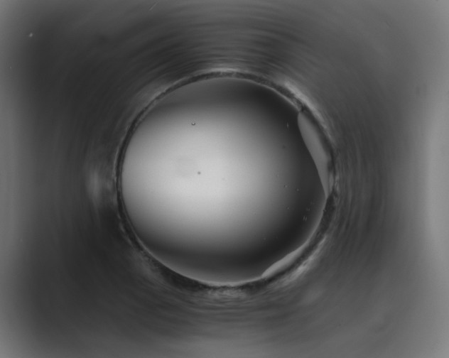 X0000089951129200706291207