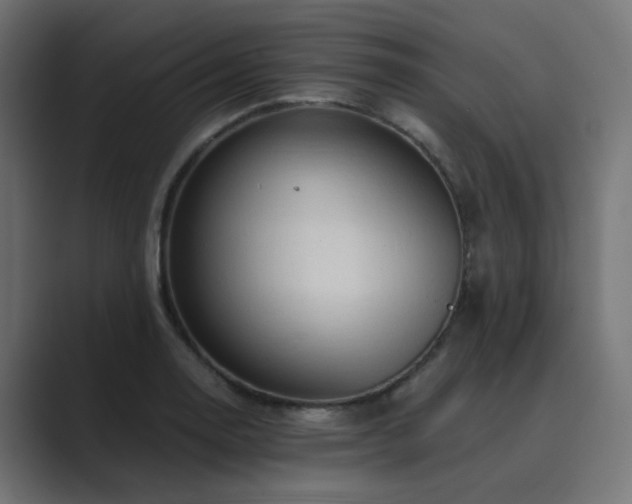 X0000089951130200706291207
