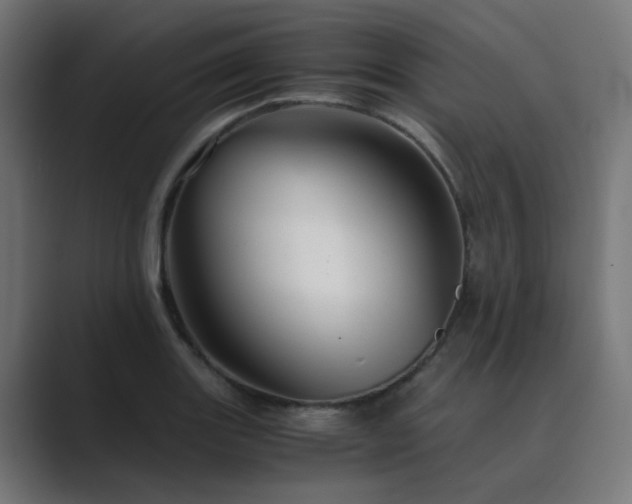 X0000089951131200706291207