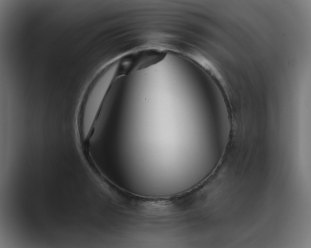 X0000089951133200706291207