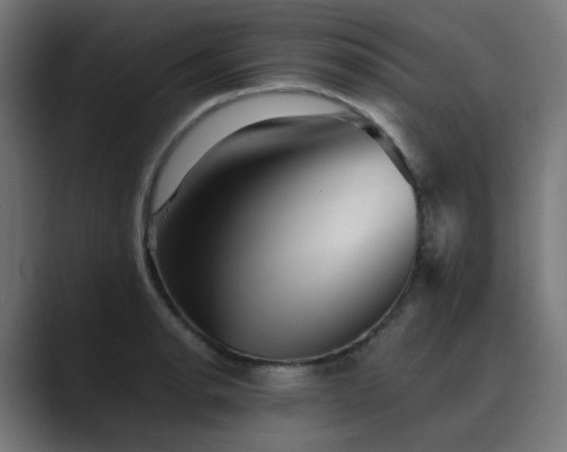X0000089951134200706291207
