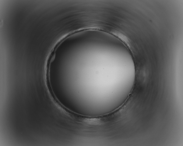 X0000089951135200706291207