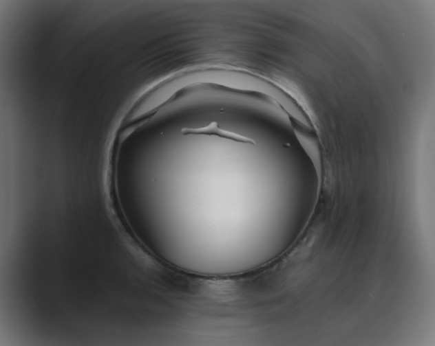 X0000089951136200706291207
