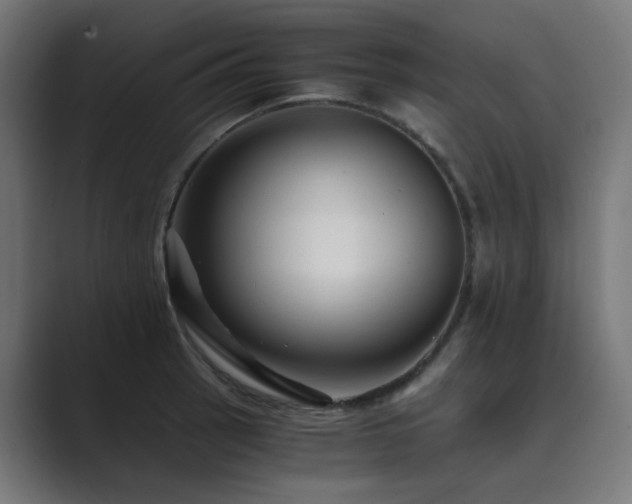 X0000089951137200706291207