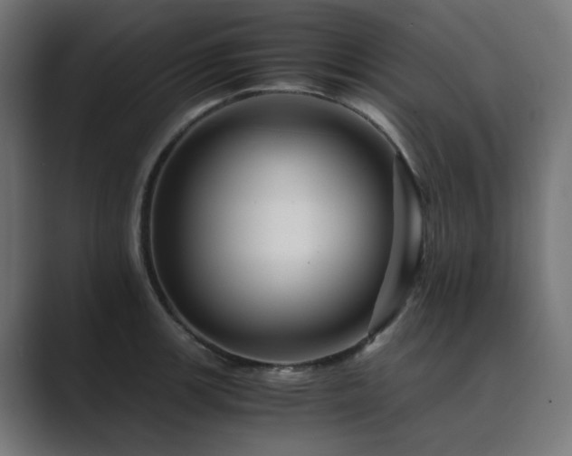 X0000089951139200706291207